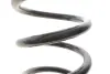 Фото Пружина (задня) Ford C-Max 1.6-2.0/1.6-2.0TDCI 07-10 Solgy (212139) зображення 3