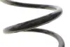 Фото Пружина (задня) Nissan Qashqai 1.5dCi/1.6/dCi/2.0/dCi 07-14 Solgy (212147) зображення 3
