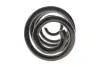 Фото Пружина (задня) Nissan Qashqai 1.5dCi/1.6/dCi/2.0/dCi 07-14 Solgy (212147) зображення 4