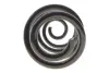 Фото Пружина (задня) Nissan Qashqai 1.5dCi/1.6/dCi/2.0/dCi 07-14 Solgy (212147) зображення 5