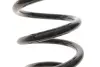 Фото Пружина (задня) Toyota Rav 4 III 2.0 4WD/2.2 D 4WD 05-13 Solgy (212148) изображение 3