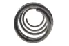 Фото Пружина (передня) Renault Scenic III/Grand Scenic III 1.5dCi/1.6dCi/1.9dCi/2.0 16V 09 Solgy (212151) изображение 3