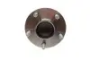 Фото Підшипник маточини (задньої) Ford Focus II 04-12/C-MAX 07-12 (+ABS) (к-кт) Solgy (216164) зображення 5