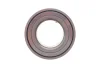Підшипник маточини (передньої/задньої) Land Rover Freelander 98-06 (+ABS) Solgy (216296) зображення 4
