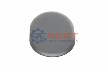 Фото Заглушка підкрильника (переднього) VW Passat 00-05 Solgy (304093) зображення 1