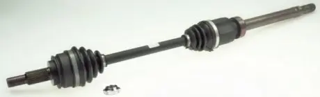 SPIDAN 0036069