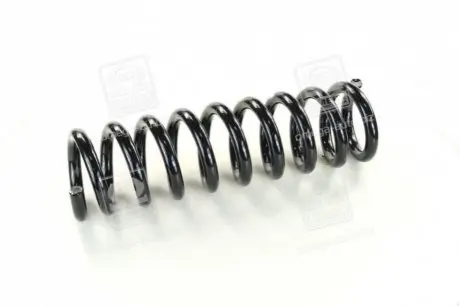 Пружина SSANGYONG 4511008C01 Купити в Україні