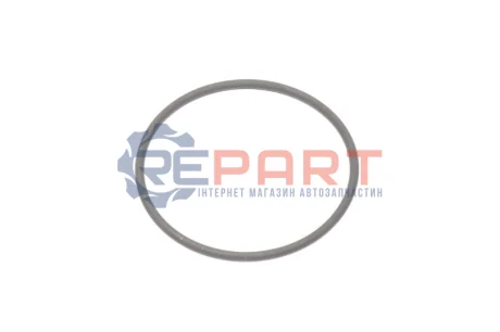 Уплотнительное кольцо (выр-во SsangYong) SSANGYONG 6719940047
