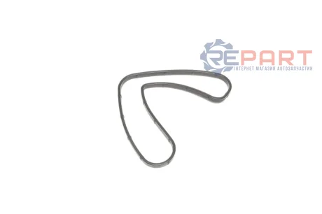 Прокладка корпуса масляного фільтра SSANGYONG 6719970745