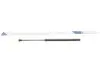 Амортизатор кришки багажника Toyota Corolla 07-07 STABILUS (015489) зображення 1