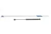 Амортизатор крышки багажника Mini Clubman/Clubvan 08-14 STABILUS (348944) изображение 1