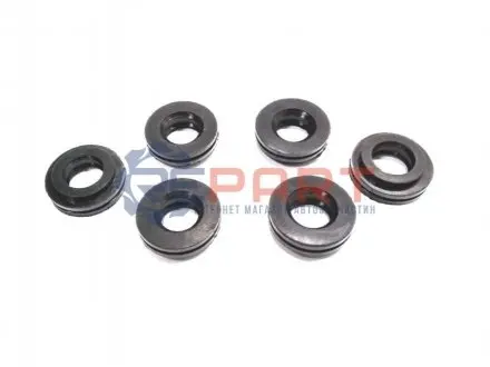 Фото Форсунки паливні STARLINE (DP ND-5005S) зображення 1