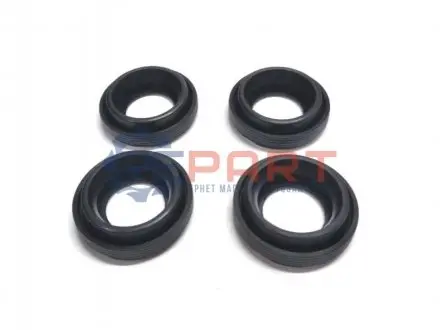 Фото Форсунки паливні STARLINE (DP ND-5013S) зображення 1