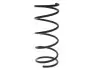 Пружина PRTH205