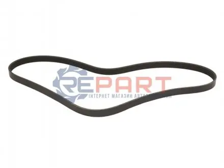 Поликлиновий ремінь STARLINE SR 5PK1013 Купити в Україні