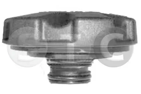 Кришка бачка розширювального BMW 1 E81/F20/2 F22/F87/3 E93/F30/4 F33/5 F10/6 F12 04- STC T403913 Купити в Україні