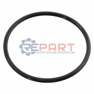 Прокладка, термостат SWAG 10 91 0258 Купити в Україні