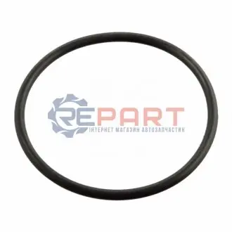 Фото 1 — Ущільнення, термостат SWAG (20220004) Фото Ущільнення, термостат SWAG (20220004) зображення 1