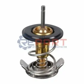 Термостат SWAG 44104868 Купити в Україні