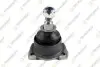 Опора кульова (передня/знизу/ззовні) BMW 3 (E36) 90-00/Z3 (E36) 95-03 TEKNOROT B305 Купити в Україні