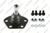 FIAT кульова опора з кріпленням! нижн. 16x1,5 Ducato 94-Peugeot Boxer TEKNOROT (F762K) зображення 1