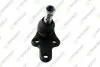 Опора кульова (передня/знизу) Ford C-Max 07-10/Focus 04-12/Volvo C30/C70/S40/V50 04-13 (d=18mm) TEKNOROT FO464 Купити в Україні