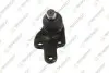 Опора кульова (передня/знизу/L) Ford Tourneo Connect/Transit Connect 13- (d=21mm) TEKNOROT FO-805 Купити в Україні