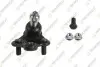 TEKNOROT HONDA кульова опора передн.ниж.прав.CR-V III 06- H-554K