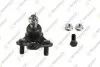 TEKNOROT HONDA кульова опора (к-кт) передн.ниж.лів.CR-V III 06- H-555K