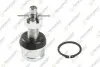 Фото Опора кульова (передня/знизу) Jeep Cherokee/Grand Cherokee 84-05/Wrangler 88- (d=41.6mm) TEKNOROT (JE-154) зображення 1