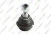 Фото Опора кульова (передня/знизу) Citroen C5 01-/Xantia 93-03/Peugeot 405 92-96/406 95-04/607 00-11 TEKNOROT (P106) зображення 1