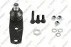 RENAULT кульова опора (к-кт) R11/19/21,Clio,Kangoo,Megane,Rapid TEKNOROT (R-203K) зображення 1