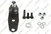 RENAULT кульова опора (болт M12) Kangoo,Megane,Scenic 97 TEKNOROT (R-516K) зображення 1