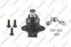 VW кульова опора (з пластиною!) 17mm Golf,Jetta,Polo,SEAT -07/87 TEKNOROT (V-403KF) зображення 1