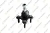Опора кульова (передня/знизу/L) Audi A3/Seat/Skoda Octavia/SuperB/VW Caddy/Golf/Touran/Tiguan 03 TEKNOROT V556 Купити в Україні