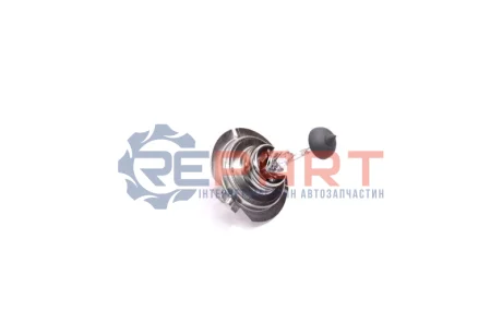 Фото 1 — Автолампи TEMPEST (H7 24V70W) Фото Автолампи TEMPEST (H7 24V70W) зображення 1