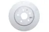 Диск гальмівний (задній) Opel Insignia A 08- (315x23) PRO 92187303