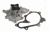 Фото Насос охолоджуючої рідини, з ущільненням NISSAN ALMERA II, ALMERA TINO, PRIMERA, X-TRAIL I 2.2D 03.00 Thermotec (D11074TT) зображення 1