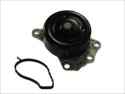 Насос охолоджуючої рідини, з ущільненням CITROEN C1 DAIHATSU CUORE V, CUORE VI, CUORE VII, EXTOL, MATERIA, SIRION, TERIOS PEUGEOT 107 SUBARU JUSTY IV TOYOTA AYGO, CARIBE, IQ 0.7-1.6 09.94 Thermotec D12090TT Купити в Україні