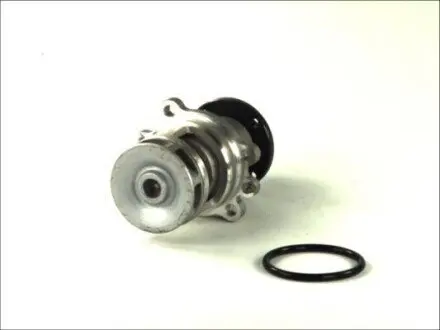 Насос охолоджуючої рідини, з ущільненням BMW 3 (E36), 5 (E34) 1.6/1.8 09.89-04.94 Thermotec D1B017TT