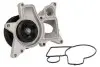 Помпа води BMW 5 (F10/F11)/7 (F01-04)/X5 (E70)/X6 (E71/E72) 2.0d-3.0d 09- (B/B) (6 лоп) (7 кан) M57/N57 D1B038TT