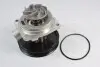Водяна помпа Thermotec (D1F065TT) изображение 1