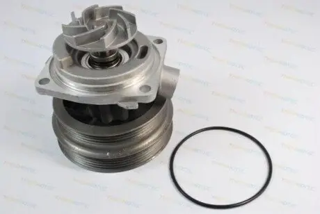 Фото Помпа води Fiat Doblo/Palio/Stilo/Bravo 1.6 16V 95-11 (R/B) (8 лоп.) THERMOTEC (D1F070TT) зображення 1