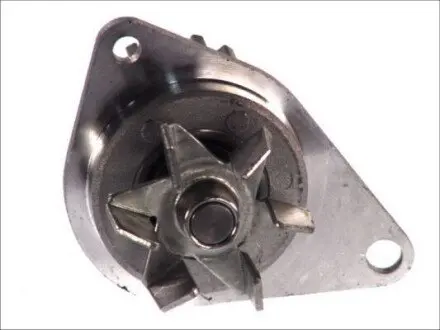 Водяна помпа Thermotec D1P043TT