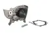 Насос охолоджуючої рідини, без прокладки RENAULT CLIO II, KANGOO, KANGOO EXPRESS, MEGANE I, MEGANE I CLASSIC, MEGANE SCÉNIC 1.4 01.96 Thermotec (D1R023TT) зображення 1