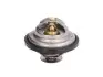 Термостат Thermotec (D2IV004TT) зображення 1