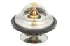 Термостат Thermotec (D2MA005TT) зображення 1