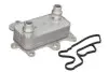 Фото Масляний радіатор ALFA ROMEO GIULIETTA FIAT 500L, 500X, BRAVO, BRAVO II, DOBLO, DOBLO CARGO, TIPO JEEP RENEGADE OPEL COMBO, COMBO TOUR 1.6D 09.07 Thermotec (D4F009TT) зображення 1