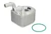 Фото Масляний радіатор RENAULT GRAND SCENIC III, MEGANE, MEGANE III, SCENIC III 1.4 02.09-09.16 Thermotec (D4R014TT) зображення 1