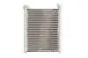Фото Радіатор пічки DACIA LOGAN II, LOGAN MCV II, SANDERO II RENAULT CLIO IV, KAPTUR, LOGAN I, LOGAN/STEPWAY II, SANDERO/STEPWAY II, THALIA III 0.9-2.0 02.08 Thermotec (D6R018TT) зображення 2